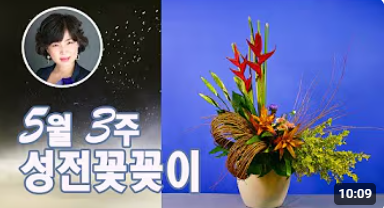 뺸